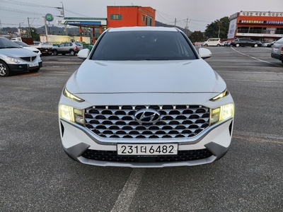 더뉴싼타페 프리미엄 초이스 2.2 2WD  